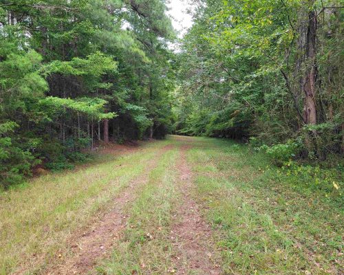 macon-40-pic-trail macon-40-pic-trail