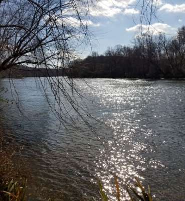 Tallapoosa Archives - Speaks Land Co.