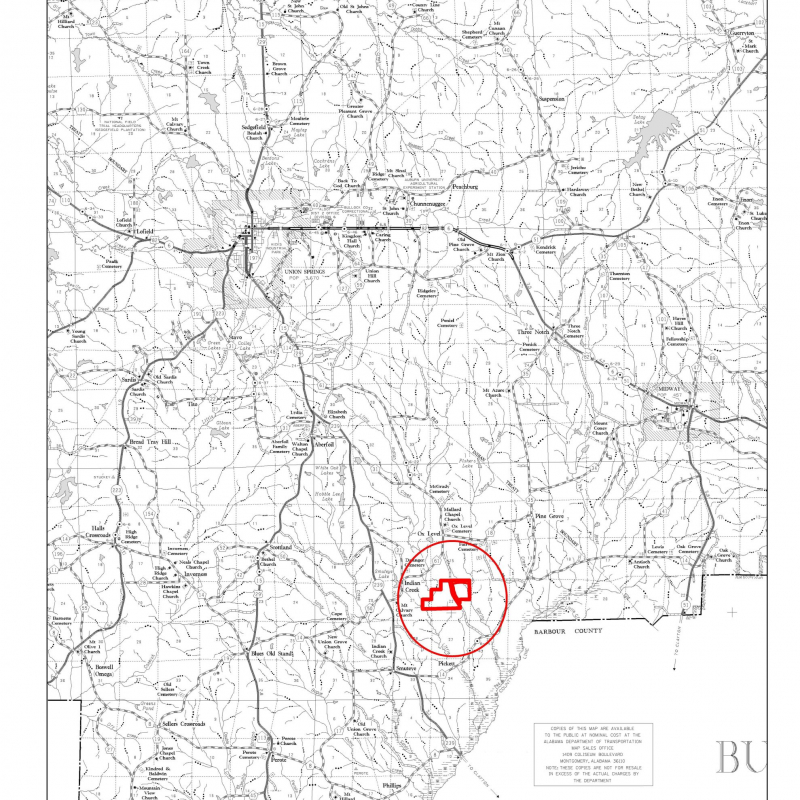 bullock-440-county-map