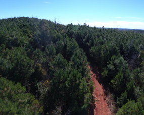 Randolph 57 (Upper Split Tract)