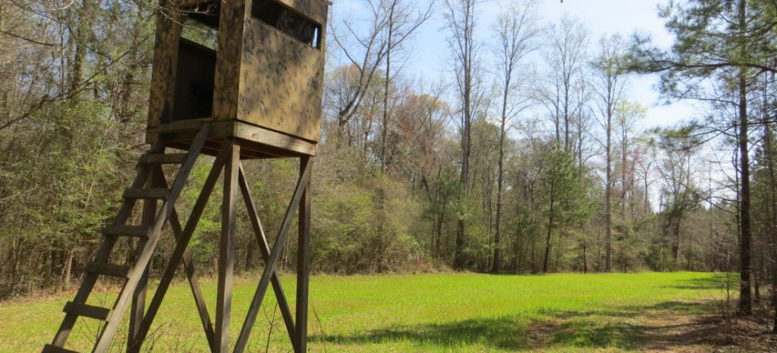 Chambers 372 acres