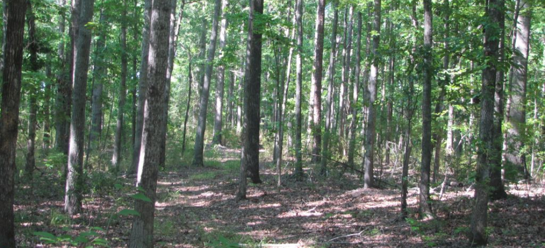 Russell 775 acres